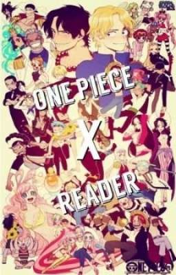 One piece x reader |¦ yêu cầu