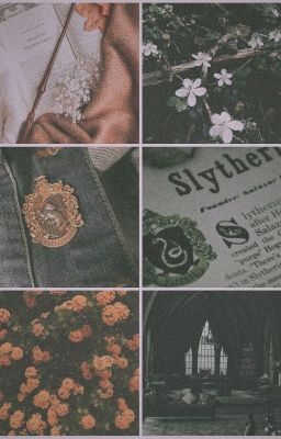|Oneshort| [AesVic-R18] Slytherin & Hufflepuff
