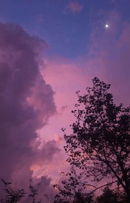 ONESHORT SONGS