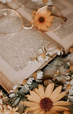 [Oneshot | JHHJ] Topic: Người đau lòng nhất trong một câu chuyện tình là ai?