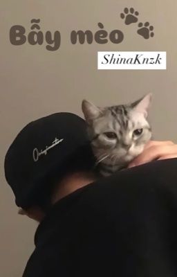 【Oneshot ┆ ShinaKznk】   Bẫy mèo