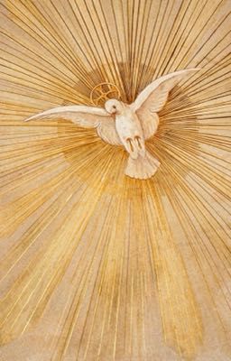 OnKer || 𝖊̂𝖙𝖗𝖊 𝖉𝖎𝖛𝖎𝖓