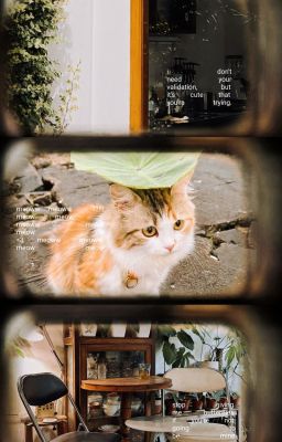 onran | tiệm phở anh an