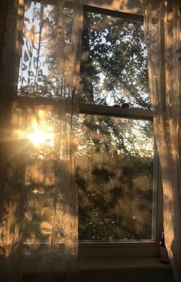 [ONRAN] Trái Gió Dở Người
