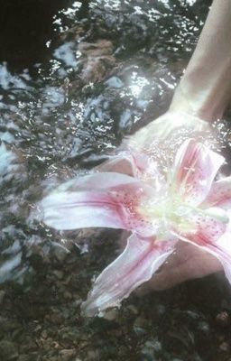 onran - trăng nương gối ngả. 