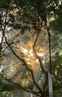 (OTP GẤU )tô tân hạo × duệ kỳ TÔI LÀM VỢ YÊU CỦA LỆ QUỶ