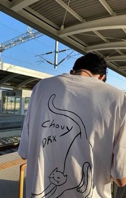 PAUSE [ CHODEFT ] NHẬT KÝ NUÔI MÈO