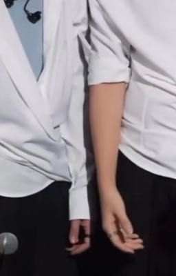 |pđtb| rái cá và sư tử