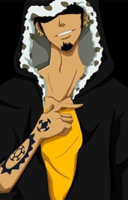 Pen Pal ~ Trafalgar Law X Reader
