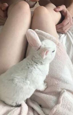 peran • ngủ cùng bạn thân
