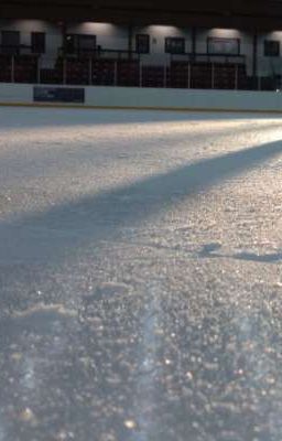 perlight | hừng đông ngập nắng.