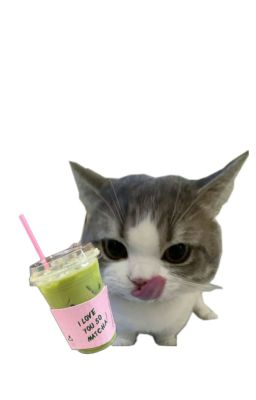 [Pernut] Meow !