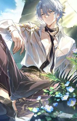 [Phaidei] . Lọ Cùng Phaidei 🗣