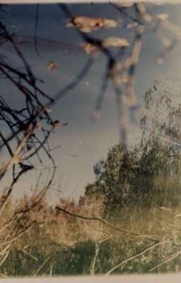 PHAIDEI | Ở nơi cuối chân trời