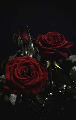 [Phaidei | R18] Đêm Không Ngủ.