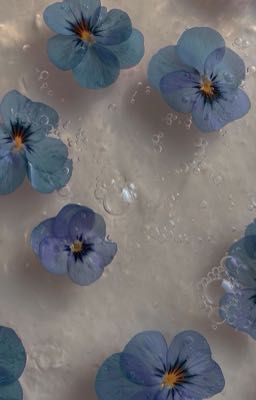 [PhaiNaxa] - 33550335