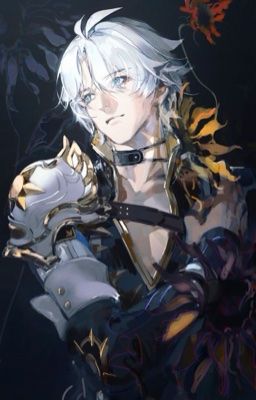 [Phainon x Stelle] 81176
