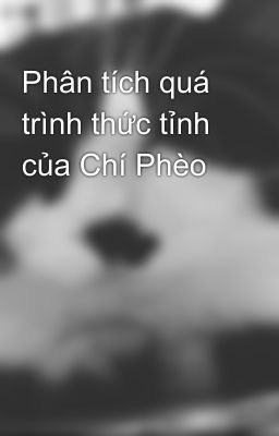 Phân tích quá trình thức tỉnh của Chí Phèo