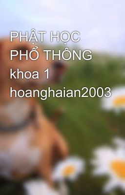 PHẬT HỌC PHỔ THÔNG khoa 1 hoanghaian2003