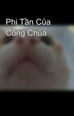 Phi Tần Của Công Chúa