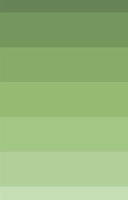 Phong Lâm Chi Ngữ