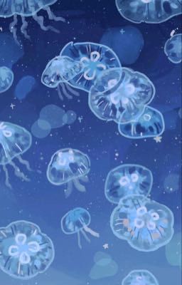 Phỏng vấn tình yêu