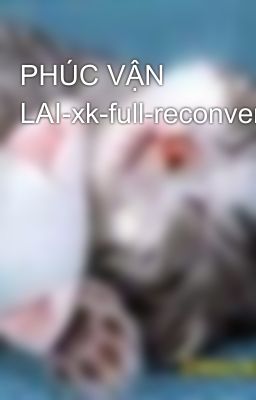 PHÚC VẬN LAI-xk-full-reconvert