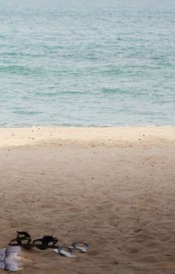 pondphuwin - biển.