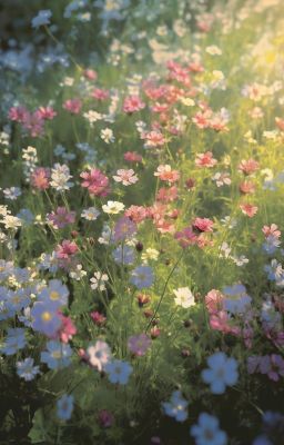 [ PondPhuwin] Wildflower