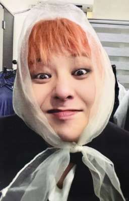 [POV] KHI TÔI LÀ BẠN GÁI CỦA G DRAGON 