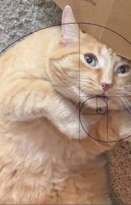 [QT] Thanh thuần học đệ [ xuyên nhanh ] - Lam Linh Tiên