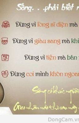 Quá trễ . . .  !