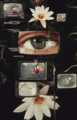 quan quân - anh là ai? 