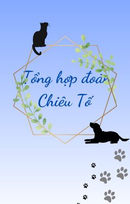 [Quang Uyên - Chiêu Tố] Tổng hợp đoản