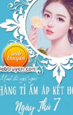 [Quyển 3] BÀ XÃ NGỌT NGÀO: HÀNG TỈ ẤM ÁP KẾT HÔN NGÀY THỨ 7 [Drop]