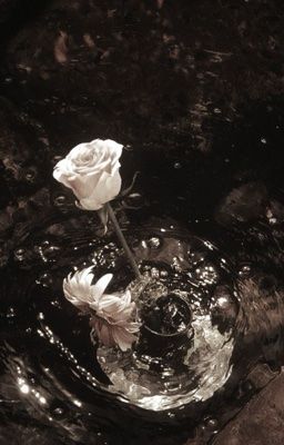 r16/r18 | onran ♱ dung túng. 𓍢ִ𐙚