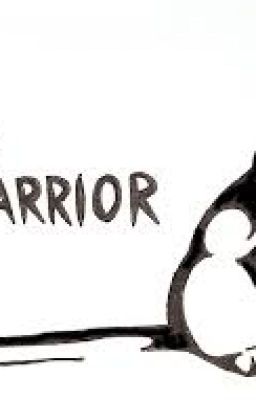 Random Warriors stuff