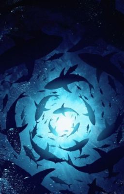 【RhyCap/Oneshort】٭Những mẫu truyện ngắn٭ (drop)