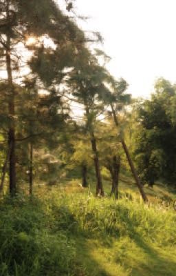 rhycap / tự lau nước mắt