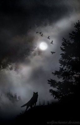 [RinRan/Oneshot] Night and Wolf