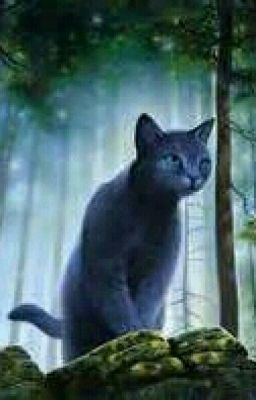 riverclan warrior cat OC' s