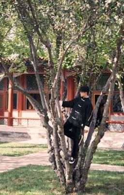 Rồi Ta Sẽ Yêu-TFBOYS