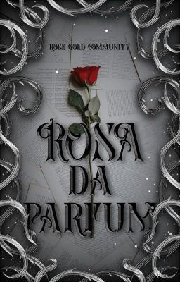 Rosa De Parfum | INTERVIEW BOOK