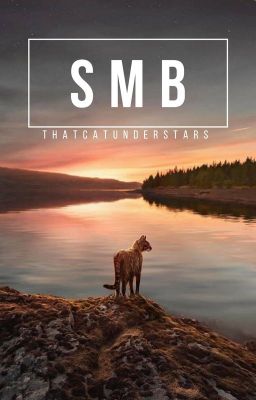 S.M.B. #1