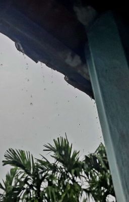 Sắc Xám