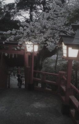 sakuryo • tiếc