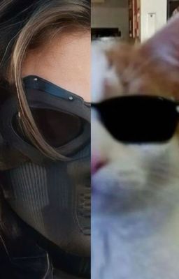 [ SamBucky ] Ngài mèo Bucky