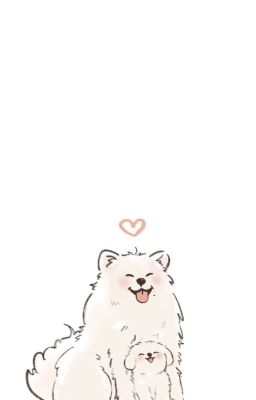 samoyed & maltese - jiminjeong series