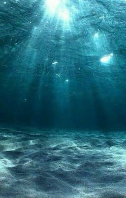 [sanegiyuu/textfic] open arms 