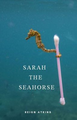 Sarah the Seahorse